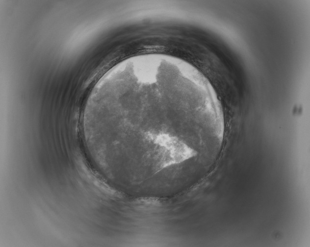 X0000111480194200908251009