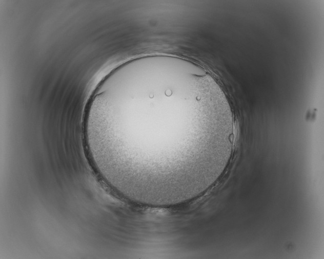 X0000111480195200908251009
