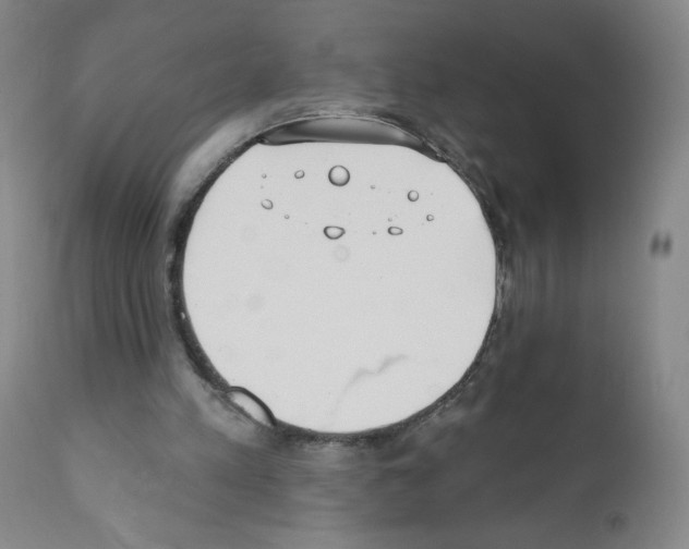 X0000111480197200908251009
