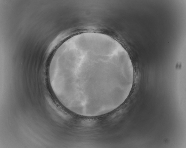X0000111480198200908251009