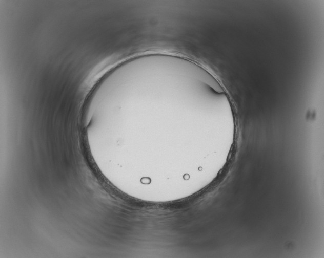 X0000111480199200908251009