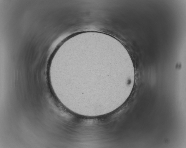 X0000111480200200908251009