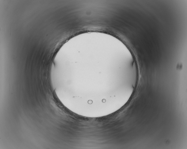 X0000111480201200908251009