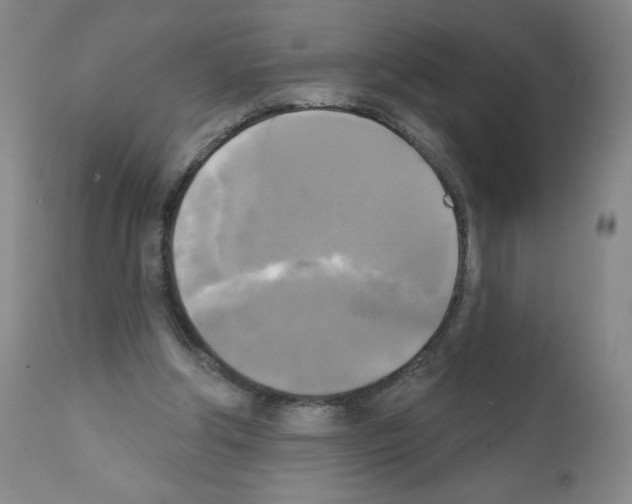 X0000111480202200908251009