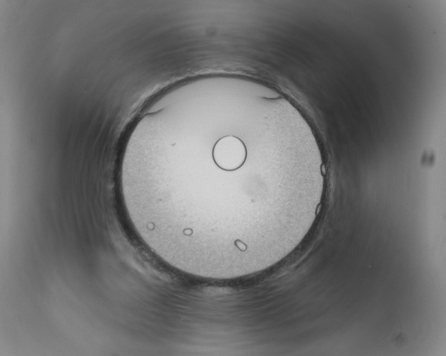 X0000111480203200908251009