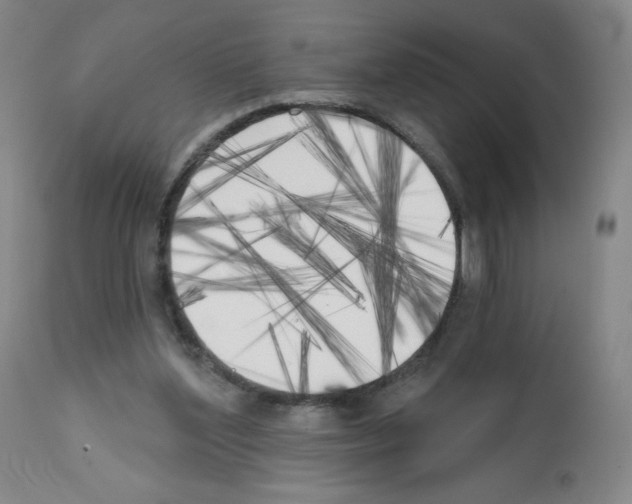 X0000111480204200908251009