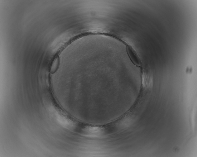 X0000111480205200908251009