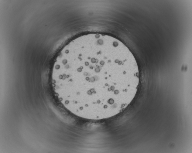 X0000111480208200908251009