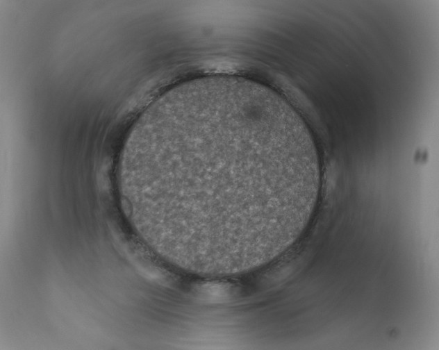 X0000111480209200908251009