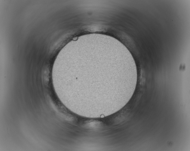 X0000111480210200908251009