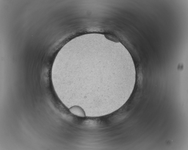 X0000111480211200908251009