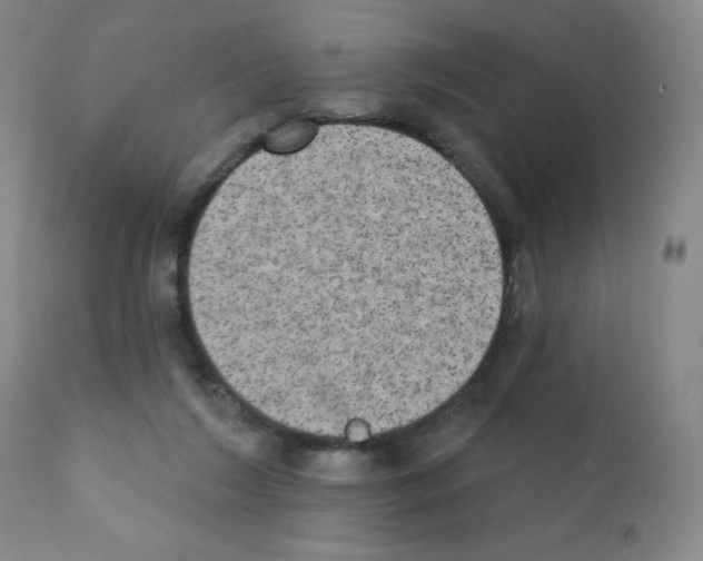 X0000111480212200908251009