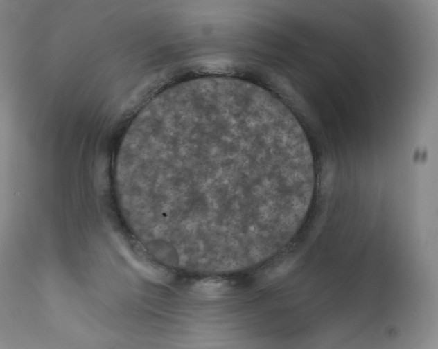 X0000111480213200908251009