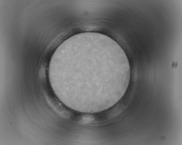X0000111480214200908251009
