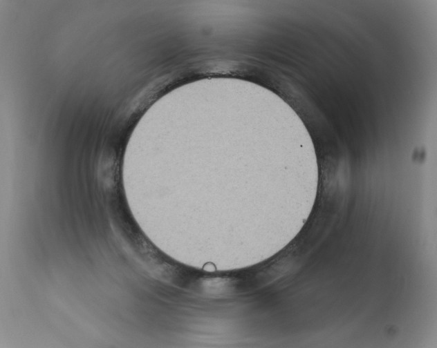 X0000111480216200908251009