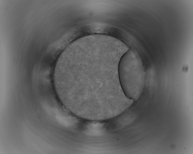 X0000111480217200908251009