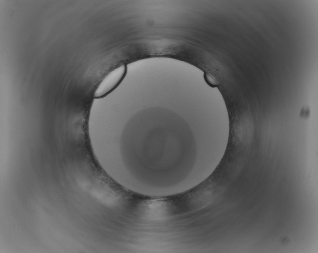 X0000111480219200908251009