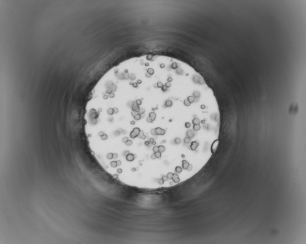 X0000111480220200908251009