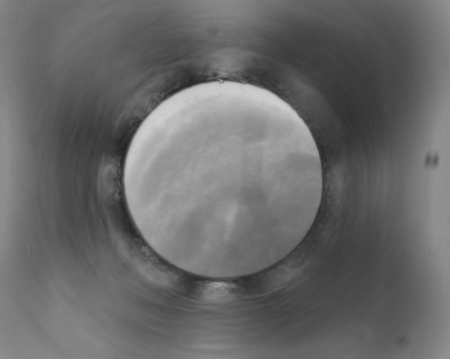 X0000111480222200908251009