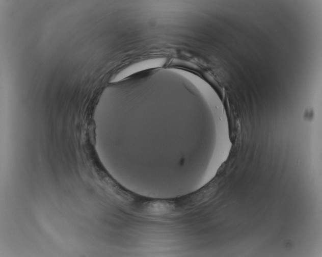 X0000111480223200908251009