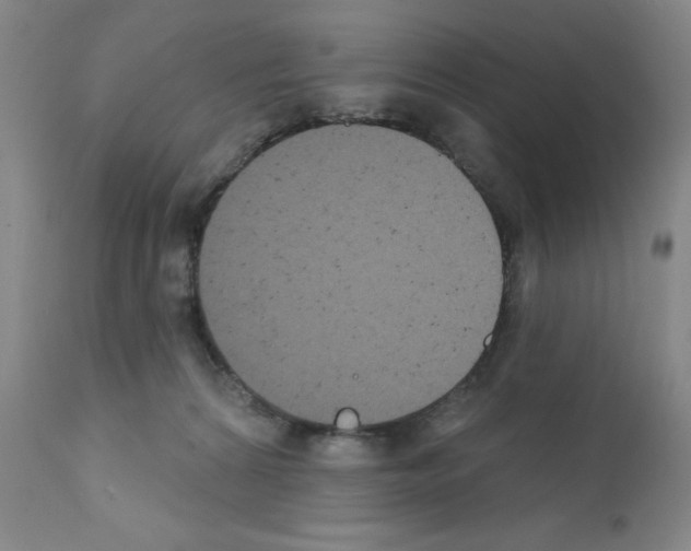 X0000111480224200908251009