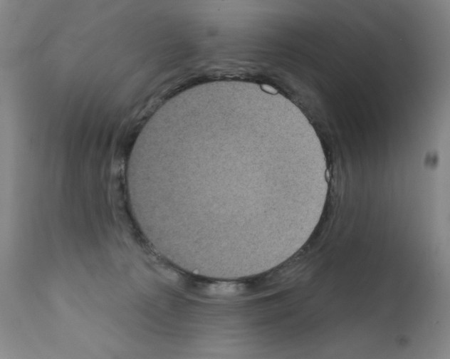 X0000111480225200908251009