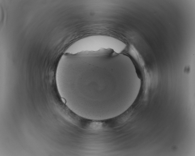 X0000111480227200908251009