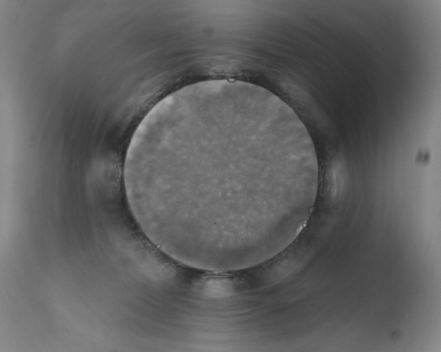 X0000111480228200908251009