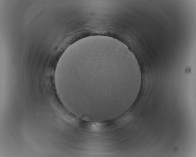 X0000111480229200908251009