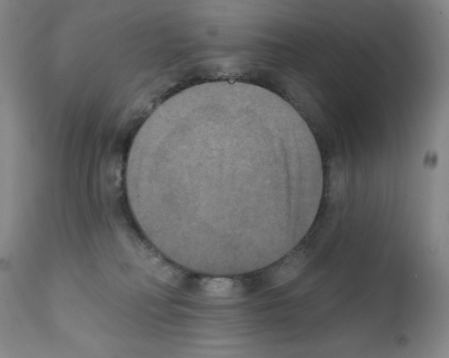 X0000111480230200908251009