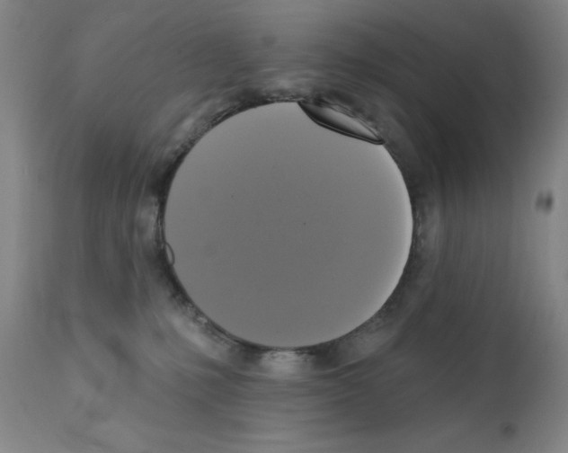X0000111480231200908251009