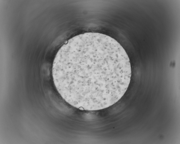 X0000111480232200908251009