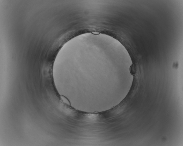 X0000111480233200908251009