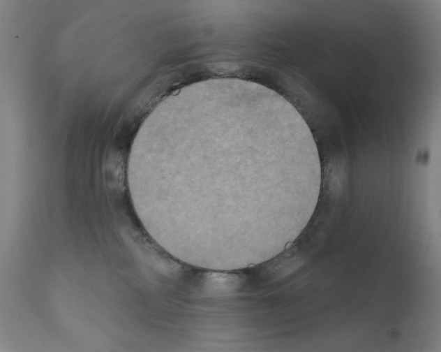 X0000111480234200908251009