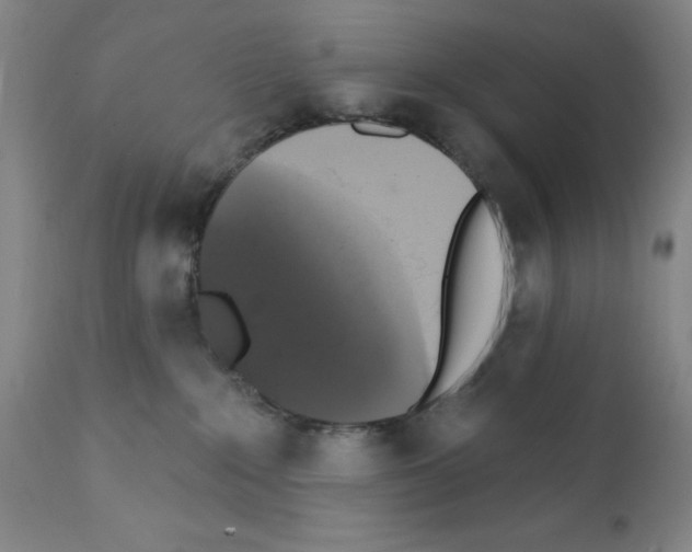 X0000111480235200908251009