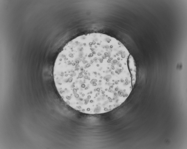 X0000111480236200908251009