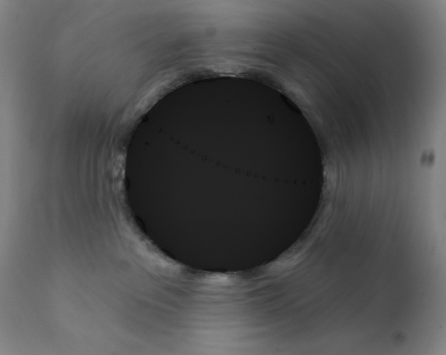 X0000111480237200908251009