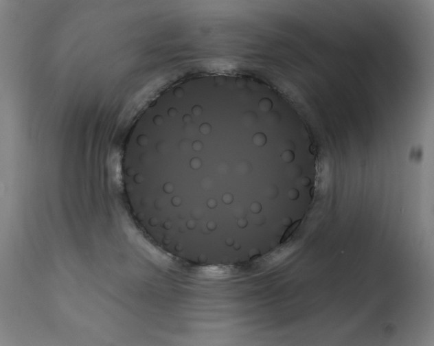 X0000111480238200908251009