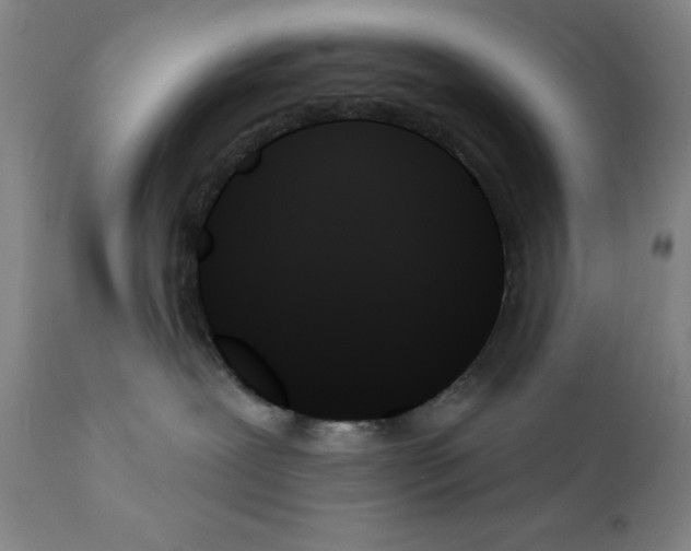 X0000111480239200908251009