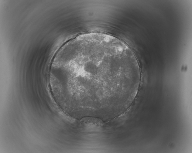 X0000111480241200908251008