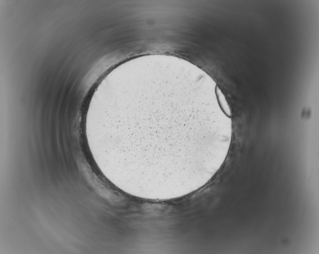 X0000111480242200908251008