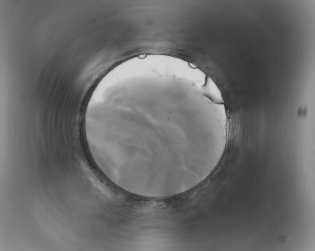 X0000111480243200908251008