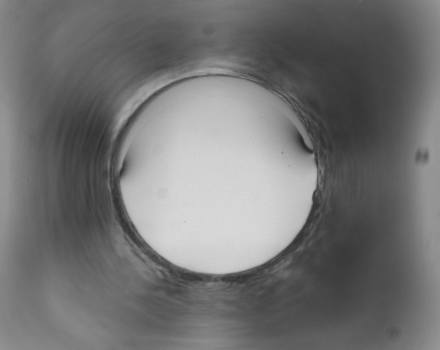 X0000111480244200908251008
