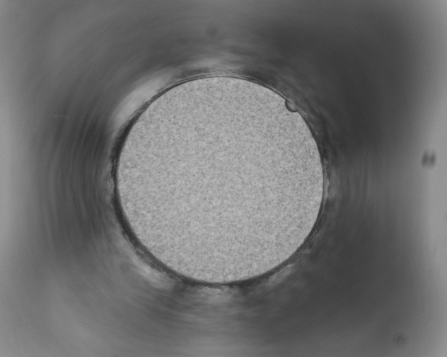 X0000111480245200908251008