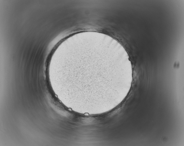 X0000111480246200908251008