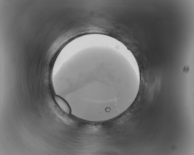 X0000111480247200908251008