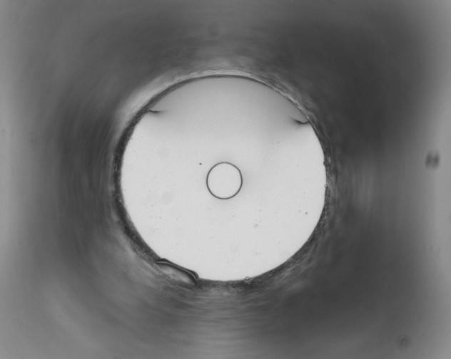 X0000111480248200908251008