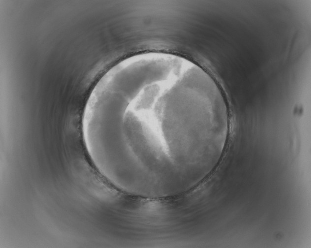 X0000111480249200908251008