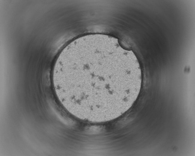 X0000111480251200908251008