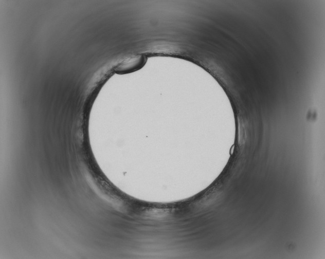 X0000111480252200908251008